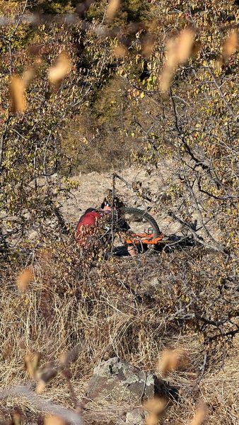 The bike resting in autumn bushes