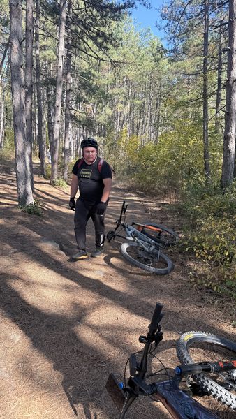 A flat tyre in the pine forest