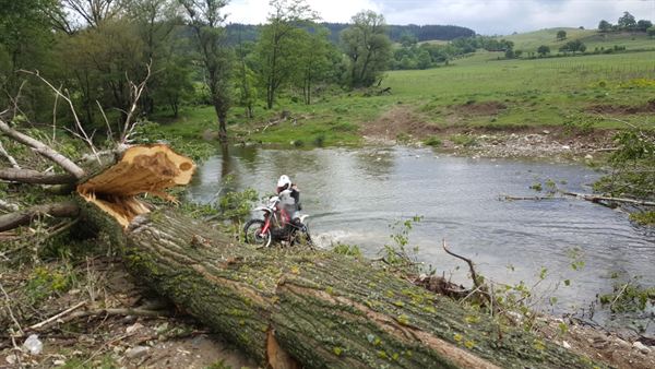 Hellstorm offroad