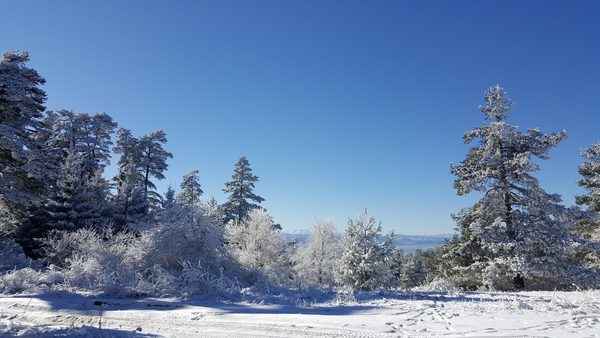 Hellstorm winter